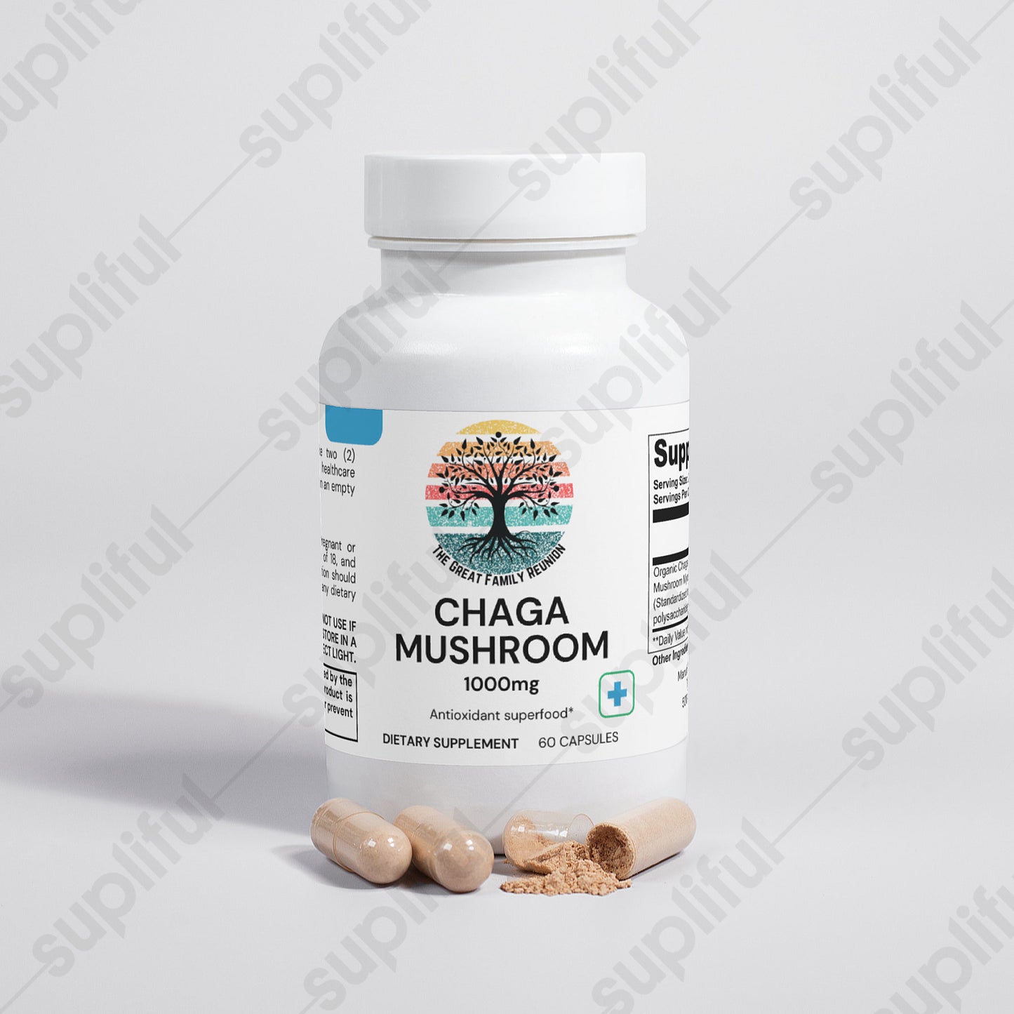 Chaga Mushroom